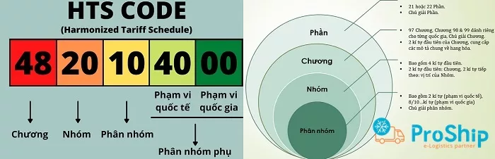 Cấu trúc hệ thống hài hòa HS Code gồm Chương, Nhóm, Phân nhóm