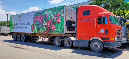 Hình ảnh trái cây, rau củ tươi trên xe tải chờ xuất khẩu