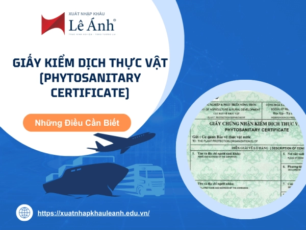 Hình ảnh con dấu Phyto và C/O trên giấy tờ
