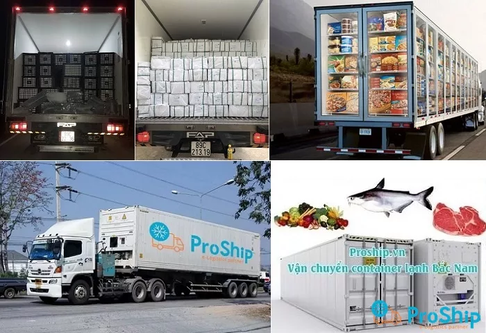 Hình ảnh trái cây, rau củ tươi trên xe tải chờ xuất khẩu